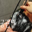 닥터스솔루션