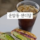 샌디담 이미지