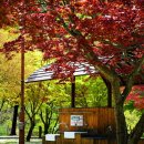 달궁자동차야영장 이미지