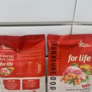 진도개사랑 | 진도개 사료 활력 충전과 신체 기능 강화의 완벽한 조화