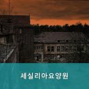 세실리아 요양원 이미지