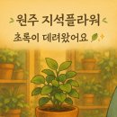 지석플라워 - 광명시 충현로 32 | 지석플라워