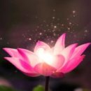 시선2
