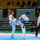 태백강원태권도체육관 이미지