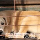 순조농장 이미지