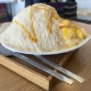 알로하포롱 이미지