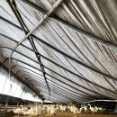 유포농장 이미지