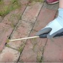 호미농장 이미지