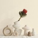 s.j soft(소프트) 이미지
