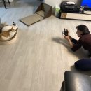 양산동물약국 | 2025년 1월부터 5월까지 톺아보기