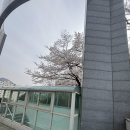 야실 | 시간아멈춰ㅠ