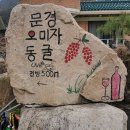 문경 오미자 동굴삼강주막 고모산성 오미자 테마공원 이미지