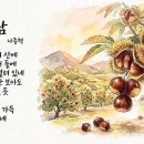 시 '아람' 동영상 이미지