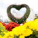 감성여행라운지 이미지