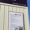 씨유 광주오포본점 | [경기광주/양벌동] 새말토종순대 경기광주 오포 본점 내돈내산 후기