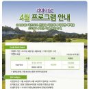 골프엠 Daum카페