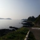 제주 수월봉 화산쇄설층 이미지