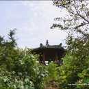 국사봉목장 이미지