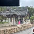 용인 대장금파크 글램핑 카라반 이미지