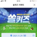 11월 29일 신한 쏠 야구상식 쏠퀴즈 정답 이미지