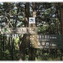 동국유치원 이미지