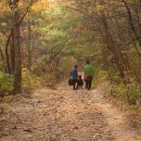 부부 산행이 좋은 이유 - 산가족이 떴다 이미지