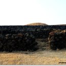 (주)보광제주 휘닉스아일랜드 이미지