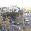 주정차007 이미지