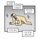 사상 맛집 | 청춘어묵우동 방문후기