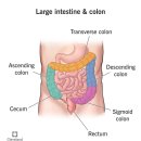 귀건강상담학 이미지