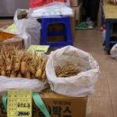 금빛홍삼