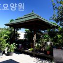 효행복요양원 | 도당동요양원 은성효요양원 솔직후기