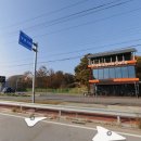 돼지zone 이미지