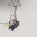 뿌리미술학원 - 청주시 서원구 분평로6번길 40 | 뿌리미술학원