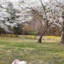 첨성대동물병원 이미지