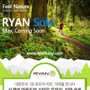 리안솔루션