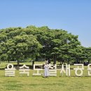 을숙도 생태공원 이미지