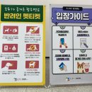 퍼피앤맘 | 2021광주펫쇼 9회 후기 | 내돈내산 |⭐이벤트&amp;무료샘플⭐주차장까지 :D 김대중컨벤션센터 펫박람회