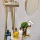 스테이 릴리 이미지