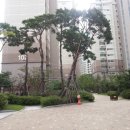 아이파크아파트 이미지