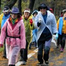 2013년도 한라산 고상돈路 전국 걷기대회 / 3,000여명 참가 이미지