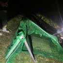 동물보육원 김포지부 이미지