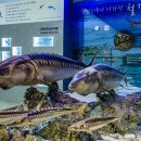 제주해양동물박물관 이미지