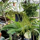 미륵산농장 이미지