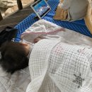 심천치유자연휴양림 이미지