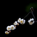 거제도식당 이미지