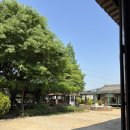 율암온천 | 서울근교 온천 추천 | 물 좋기로 유명한 화성 ‘율암온천’ 숯가마 후기♨️ (+방문꿀팁)