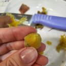 차돌약국 이미지