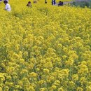 호랑이농장 이미지