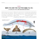 주식회사 유니콘웨일 이미지